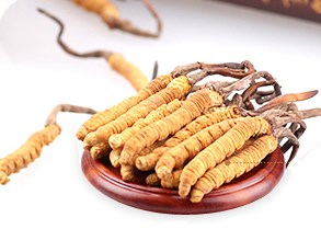 如何选择购买品质好的冬虫夏草?虫草回收商家介绍