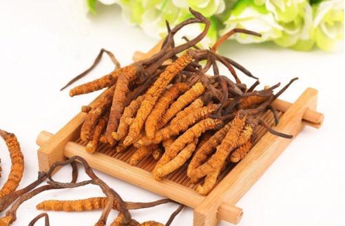 东莞回收冬虫夏草